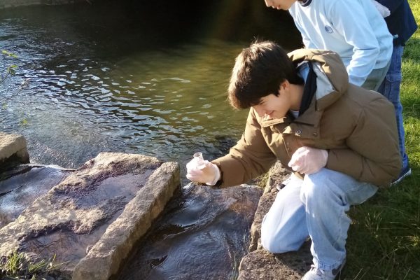 testes quimicos de qualidade da agua 05fev25 (2)